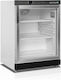 Tefcold Congelator Profesional 200lt