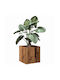 vidaXL Flower Pot 40x40cm Coffee 857027