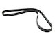 Bosch Grooved Drive Belt