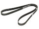 Bosch Grooved Drive Belt