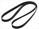 Bosch Grooved Drive Belt