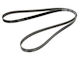 Bosch Grooved Drive Belt