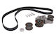 Skf Timing Belt Set