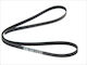 Bosch Grooved Drive Belt
