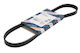 Bosch Grooved Drive Belt