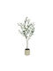 Marhome Olivenbaum Grüner Topf H150cm 1/Stück 04-10105