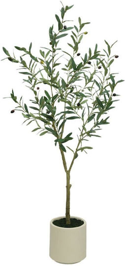Marhome Olivenbaum Grüner Topf H150cm 1/Stück 04-10105 Marhome Olivenbaum Grüner Topf H150cm 1/Stück 04-10105