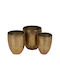 Flower Pot Set 3pcs Gold S8808136