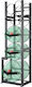 Vevor Refrigerant Tank Rack 1 X 50 lbs 2 X 30 lbs Plus 3 Small Bottle Tanks Cylinder Tank Rack 15.55 X 12.99 X 49.8 Inches Refrigerant Cylinder Shelf Freon Cases Gas Oxygen Nitrogen