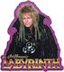Labyrinth Jareth Funky Chunky Magnet