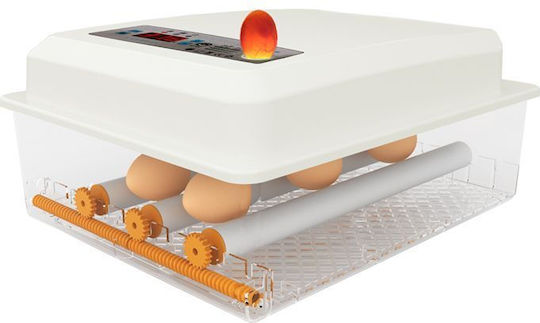 Automatic Egg Incubator 36 Eggs