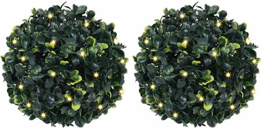 Buxus in Topfpflanze 22cm mit LED 2 Stück vidaXL