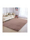 Anti-slip Rug Rectangular Furry Rotten Apple/Rosé