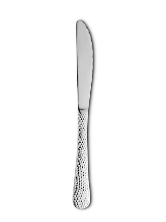GTSA Knives General Use from Stainless Steel 22.3cm 12pcs
