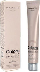 MAXXelle Colora Βαφή Μαλλιών 6.7 Dark Blonde 100ml