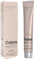 MAXXelle Colora Βαφή Μαλλιών 12.2 Iceberg Blond...