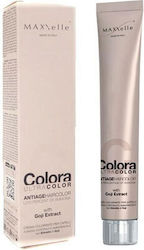 MAXXelle Colora Βαφή Μαλλιών 100ml