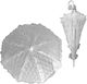 Chinesischer Spitzen- und Rüschen-Regenschirm 76xφ75cm Carnavalista 232555
