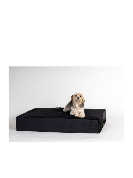 Pet Gallery Στρώμα Σκύλου Χρυσό 80x55εκ.
