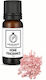 Raumduftöl Pulver 10 ml