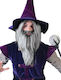 Carnival Wig Straight Gray for Halloween and Wizard Beard