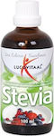 Stevia 100ml