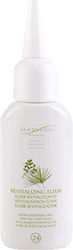 MAXXelle Λάδι Μαλλιών 50ml