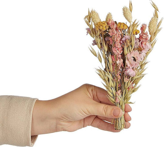 Blumenmarkt Mini-Strauß aus getrockneten Wiesenblumen Mehrfarbige Trockenblumen Länge 18 x Breite 10 cm Blumenmarkt Mini-Strauß aus getrockneten Wiesenblumen Mehrfarbige Trockenblumen Länge 18 x Breite 10 cm
