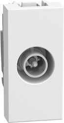 TV Pass-Through Socket 1 Element White Light Now