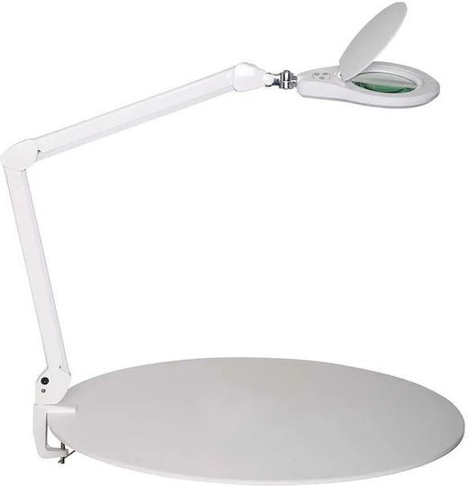 Maul LED Magnifying Lamp Source Dimmable White