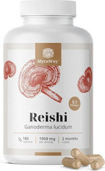 MycoWay Reishi Extract 5:1 1950mg 180 Capsule MycoWay Reishi Extract 5:1 1950mg 180 Capsule