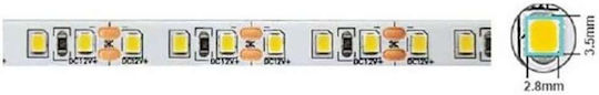 Vito LED Strip 24V Warm White Light 5m Type SMD2835