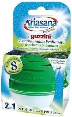 Ariasana Συλλέκτης Υγρασίας Guzzini Άρωμα Βαλσάμικο 45gr 15237 05-045-025