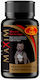 Real Pet Maxim Proteins Πολυβιταμίνες Σκύλου σε Δισκία 100 tabs για Ενέργεια & Τόνωση