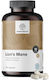 Healthy World Lion’s Mane 500mg 180 capace