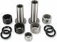 Pivot Works Hinterer Stahl-Schwingenlager-Satz Pwsak-y18-008 Kit