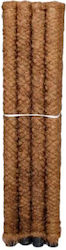 Moss Sticks Size 80cm
