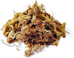 Planting Substrate 0.3kg 8lt Sphagnum300gr