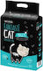 Pet Natura Fantasticat Bentonit Katzenstreu Tofu 2.4kg / 6Es