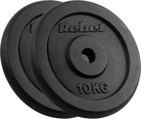 Set of Plates Metal 2 x 10kg Ø31mm