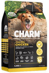 Charm 0.34kg Charm 0.34kg