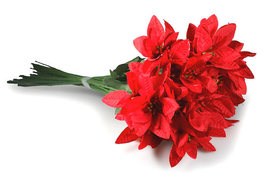 Avra Toys Weihnachtsdekoration Alexandrinischer Länge 50cm. Bouquet