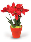 Orange Poinsettia Pot 5 Flowers 25cm -008772-o