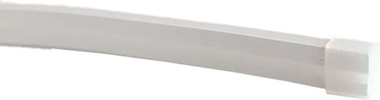 Elmark End Cap Front Outlet Led Neon El-4131