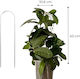 Arch Trellis Plant Support Rod from Plastic