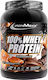 IronMaxx 100% Whey Protein Whey with Flavor Dar...