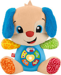 Fisher Price Laugh & Learn for 6++ Months