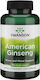 Swanson American Ginseng 550mg 100 κάψουλες