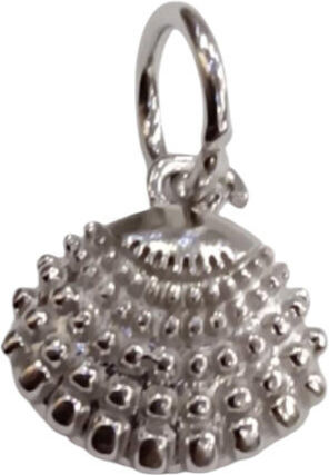 Kalliopisilver Silber 925 Symbolanhänger Geprägte Muschel D103