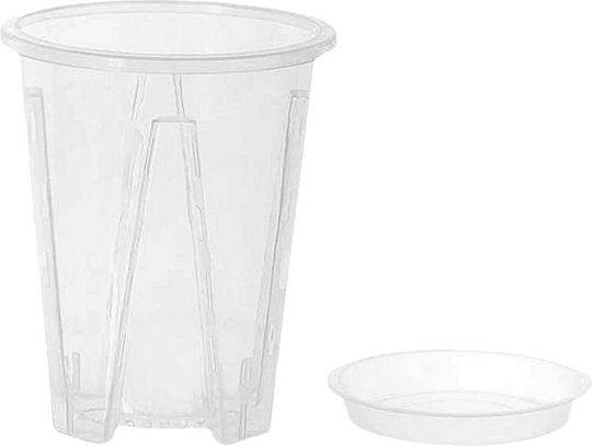 Aroid Pots Size 16cm Saucer Yes